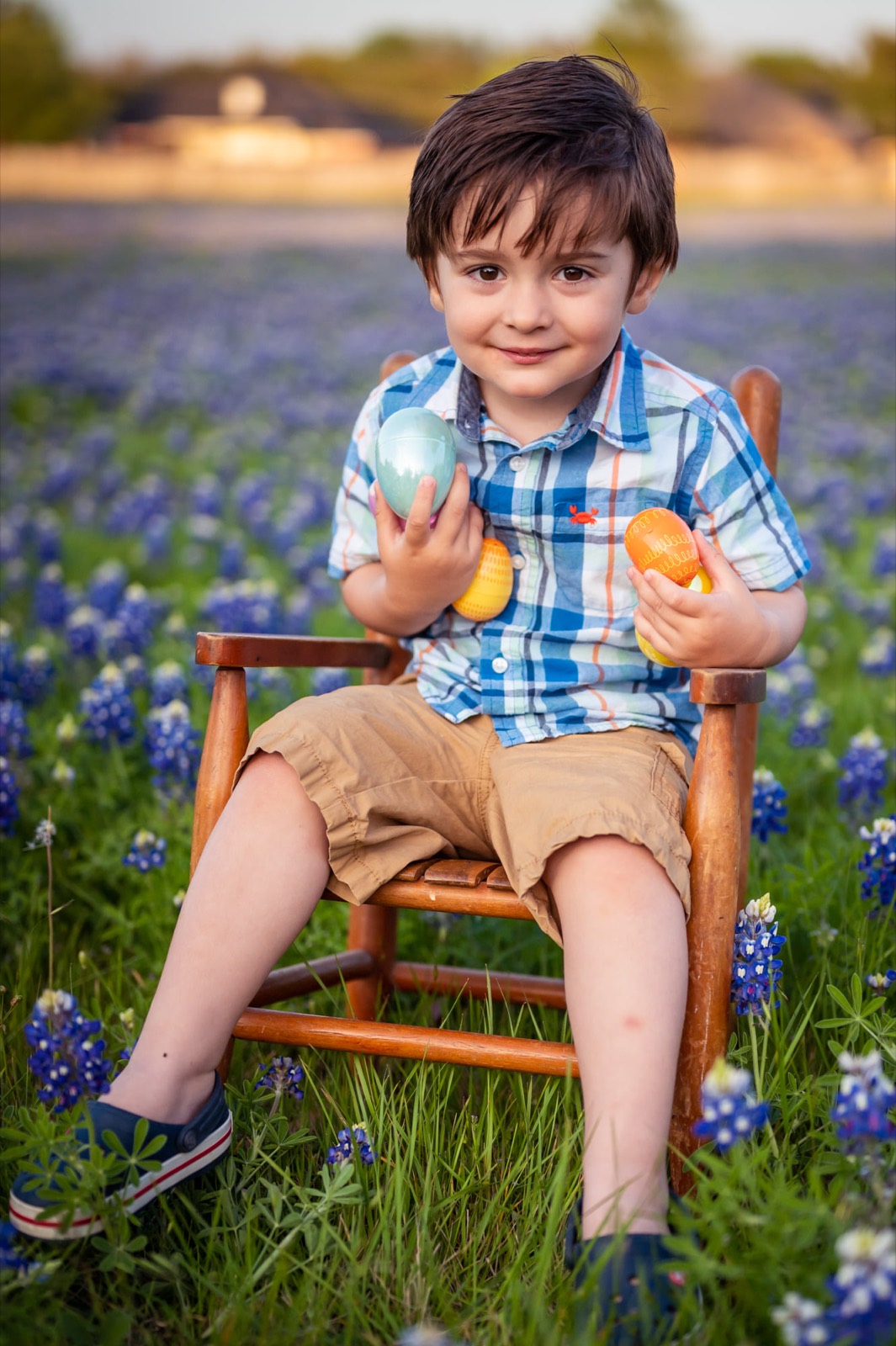 Bluebonnet season